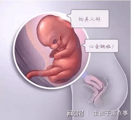 ICSI操作